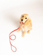 Cherry Red Leash - Image 2