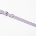 Violet Collar - Image 2