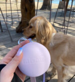 Treat Bag Lilac - Image 5