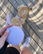 Treat Bag Lilac - Image 3