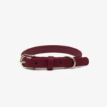 Burgundy Collar