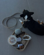 Taupe Leash - Image 2