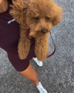 Burgundy Leash - Image 5
